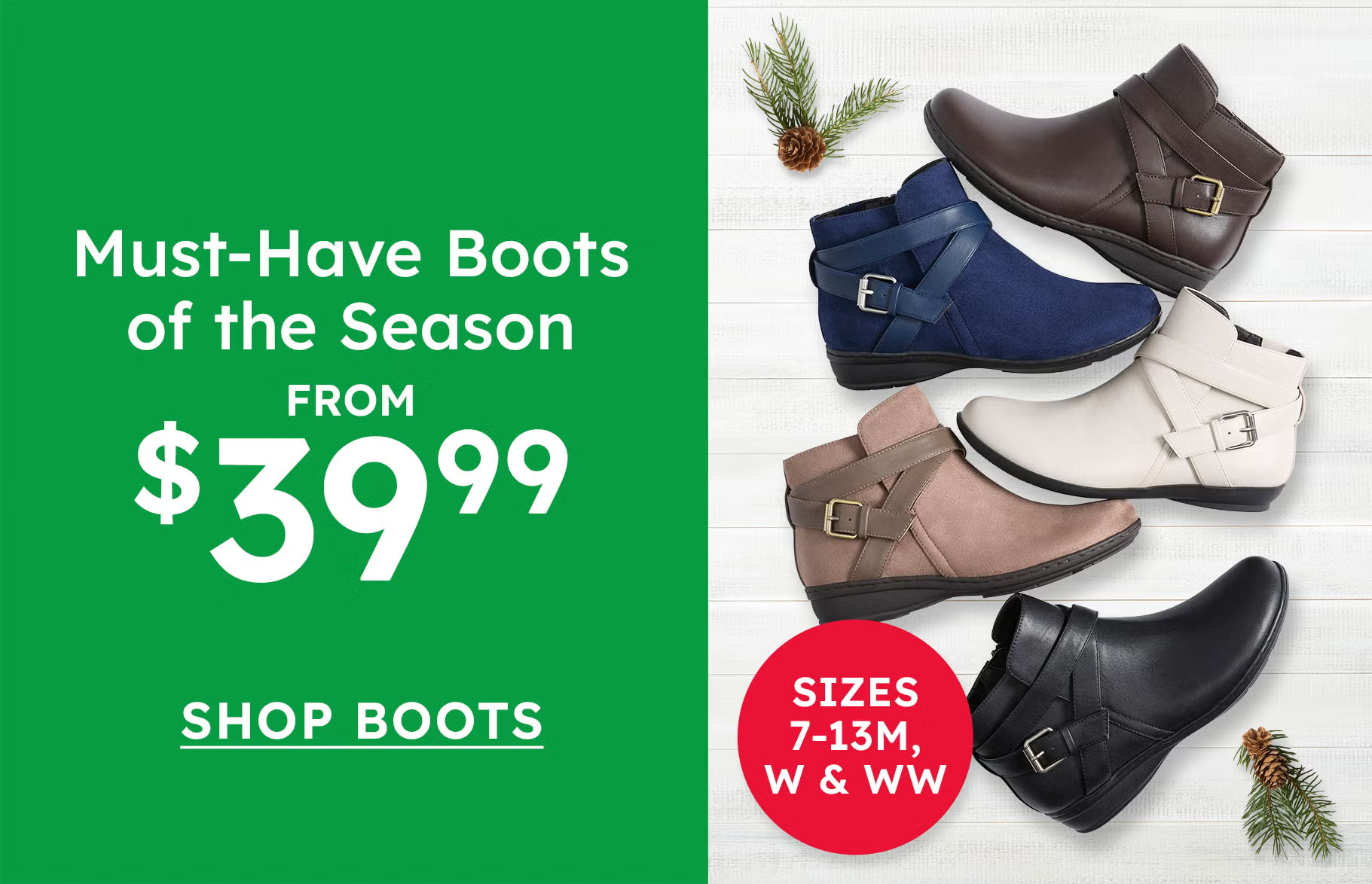 1210 ww module boots desktop