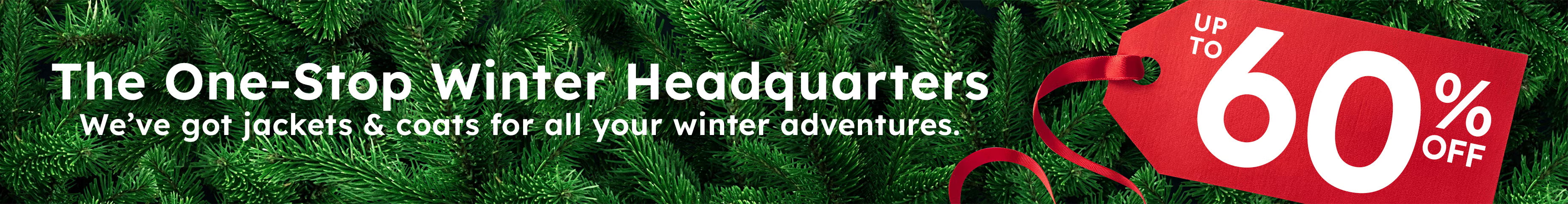 1210 ww module winter desktop