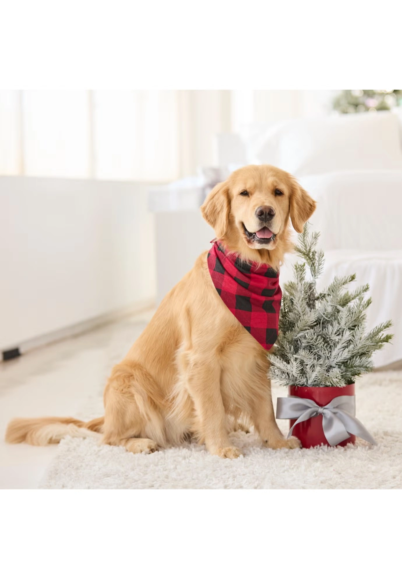 Long Sleeve Knit PJ Set 10 Long Sleeve Knit PJ Set