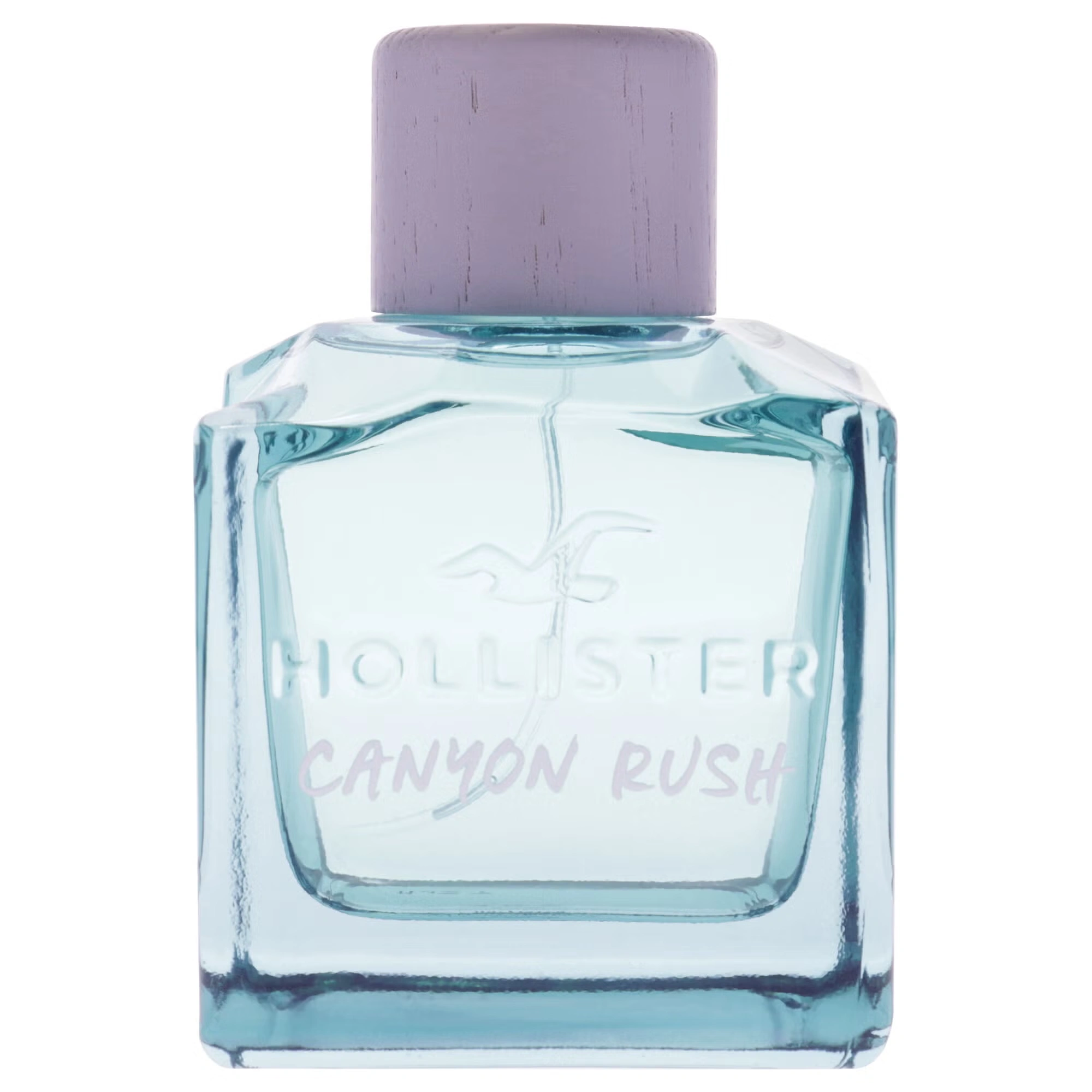 Canyon Rush by Hollister for Men - 3.4 oz EDT Spray